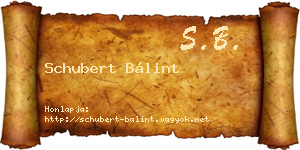 Schubert Bálint névjegykártya