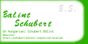 balint schubert business card